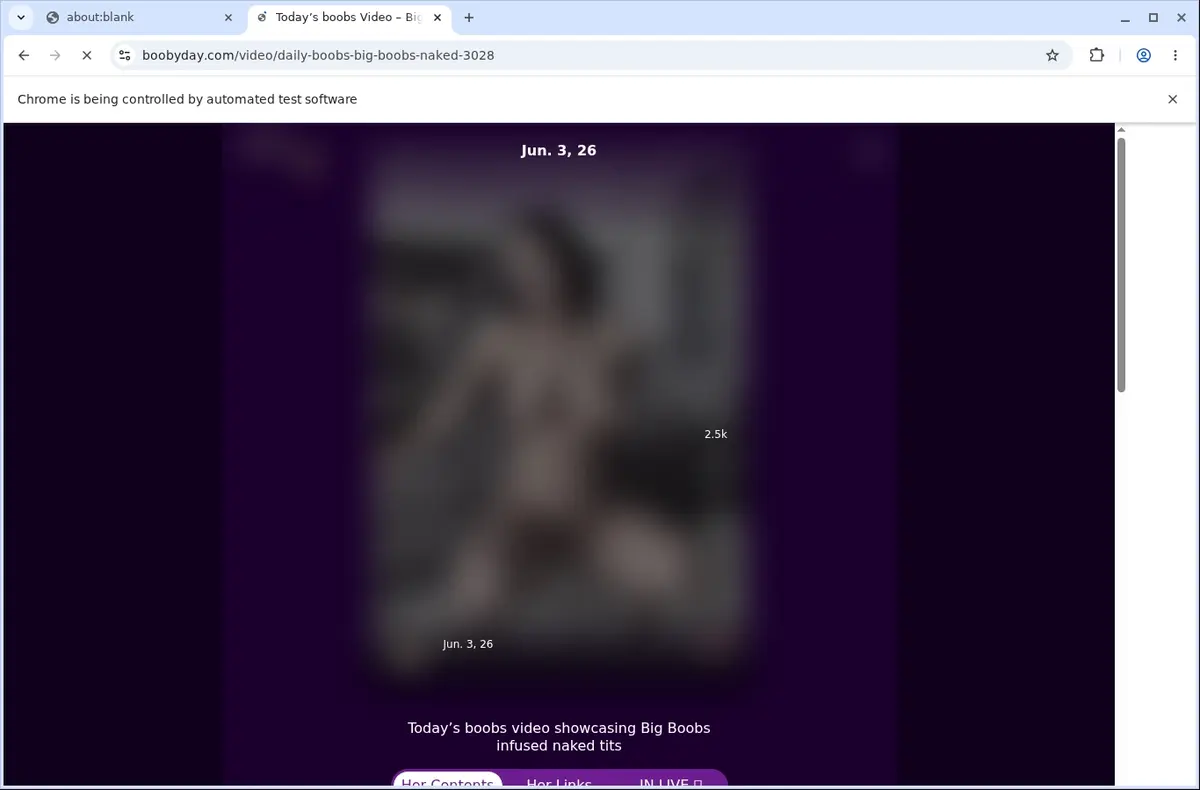 BoobyDay Video Downloader page open in the browser