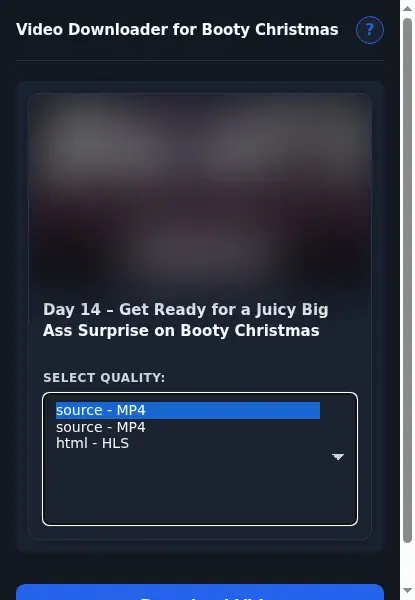 Booty Christmas Downloader format dropdown options