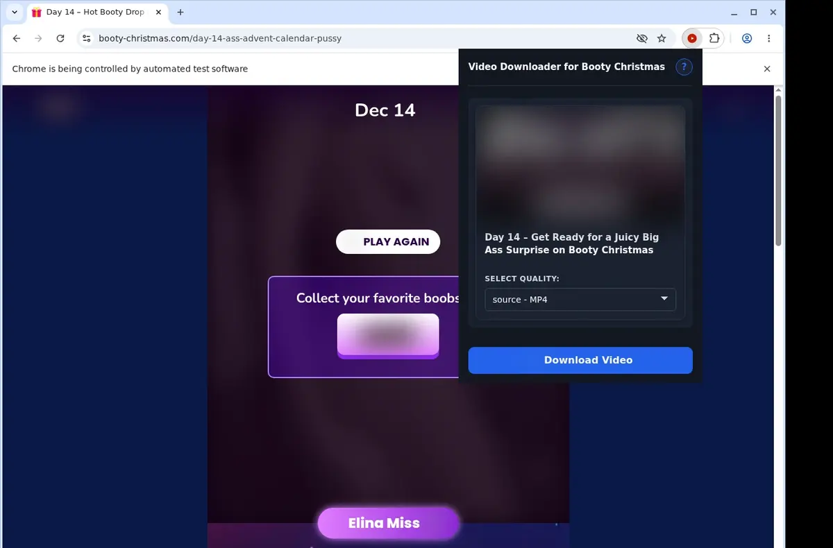 Booty Christmas Downloader showing detected media ready to download