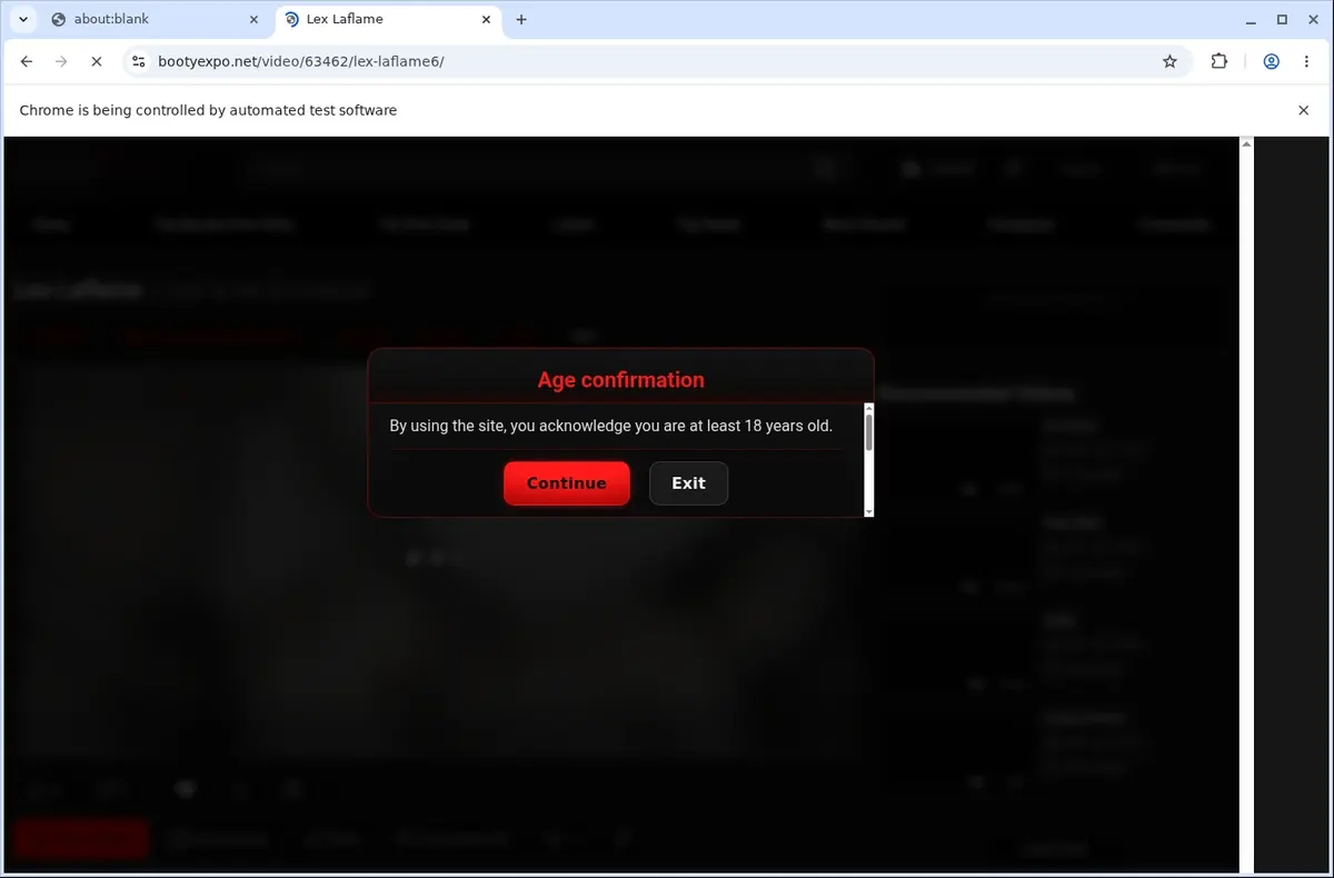 BootyExpo Downloader page open in the browser