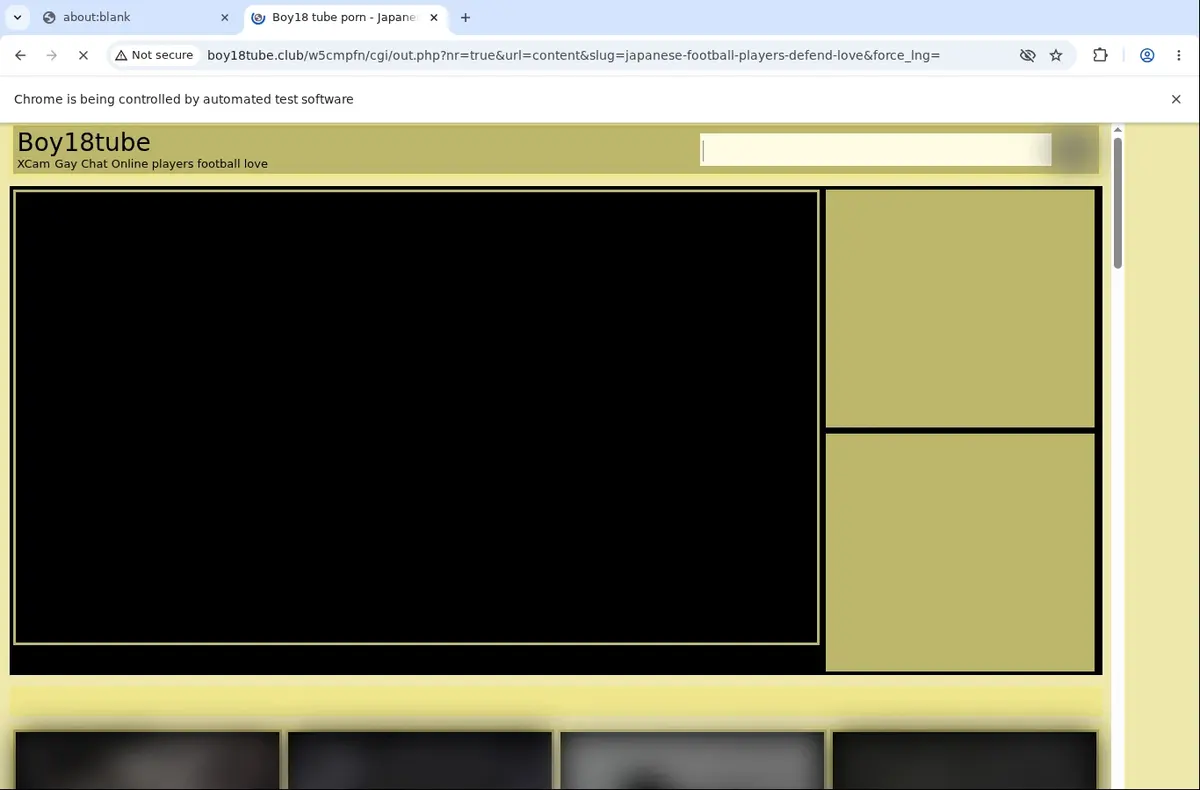 Boy18Tube Video Downloader page open in the browser