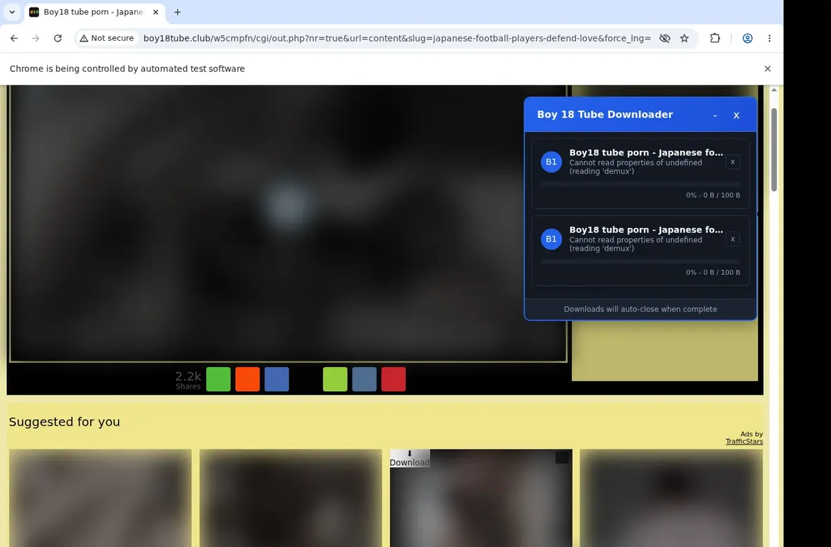 Boy18Tube Video Downloader download progress panel