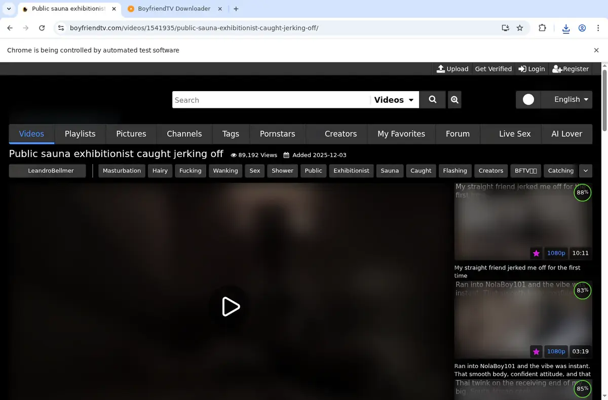 BoyFriendTV Video Downloader download progress panel