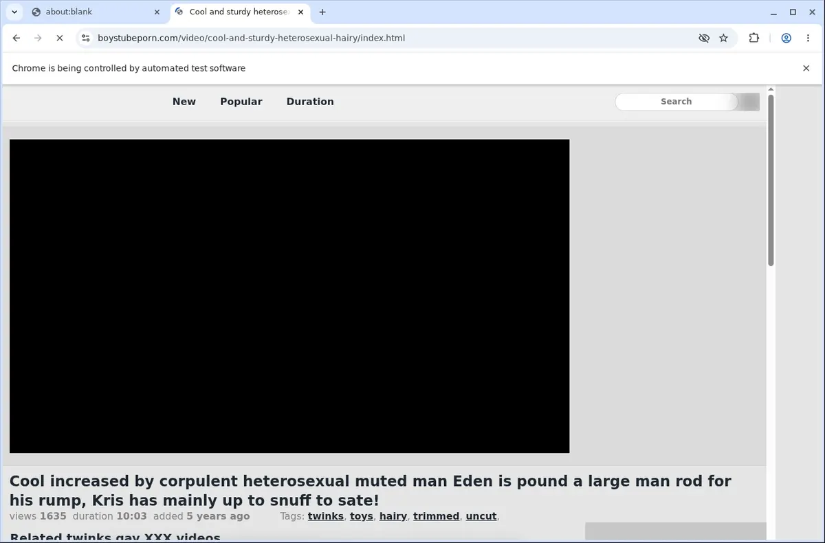 BoysTubePorn Downloader page open in the browser