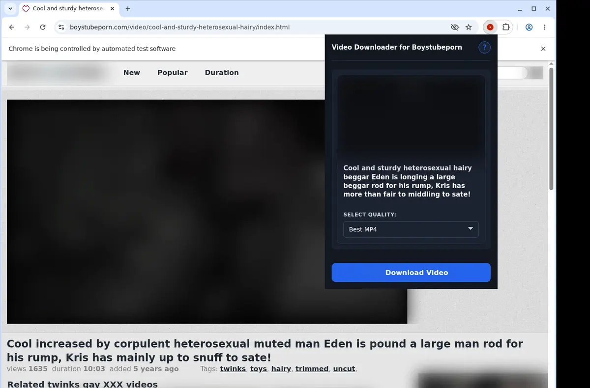 BoysTubePorn Downloader showing detected media ready to download