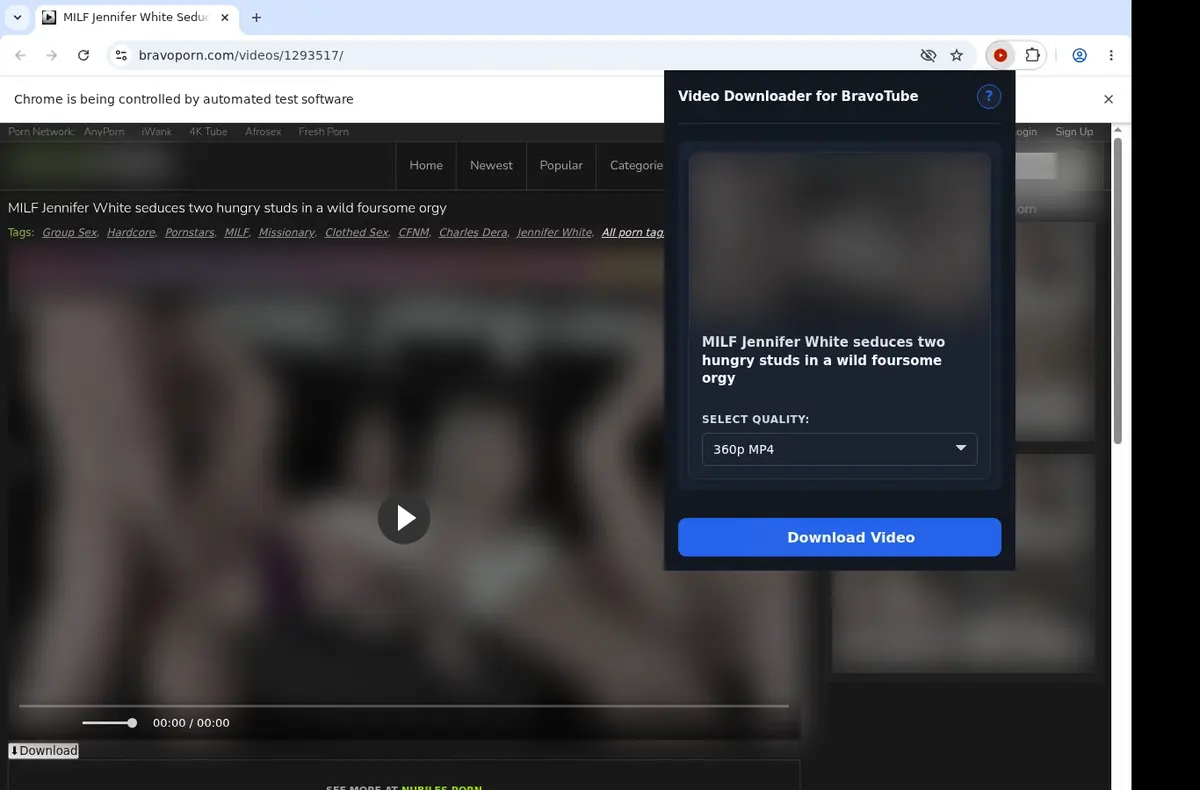 BravoTube Downloader showing detected media ready to download