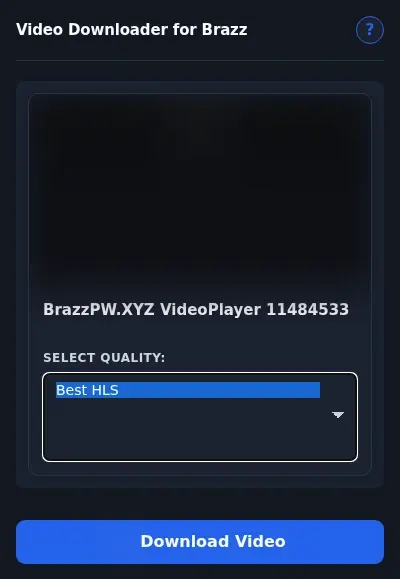 Brazz Downloader format dropdown options
