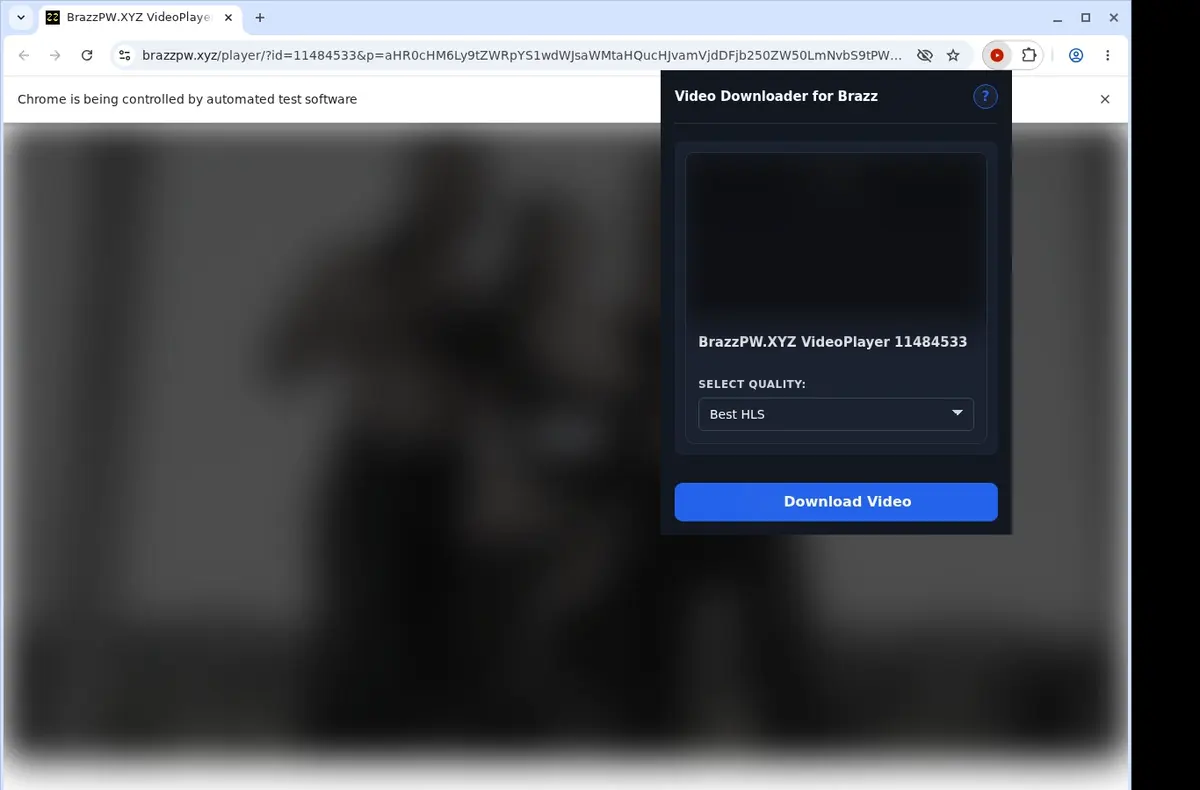 Brazz Downloader showing detected media ready to download