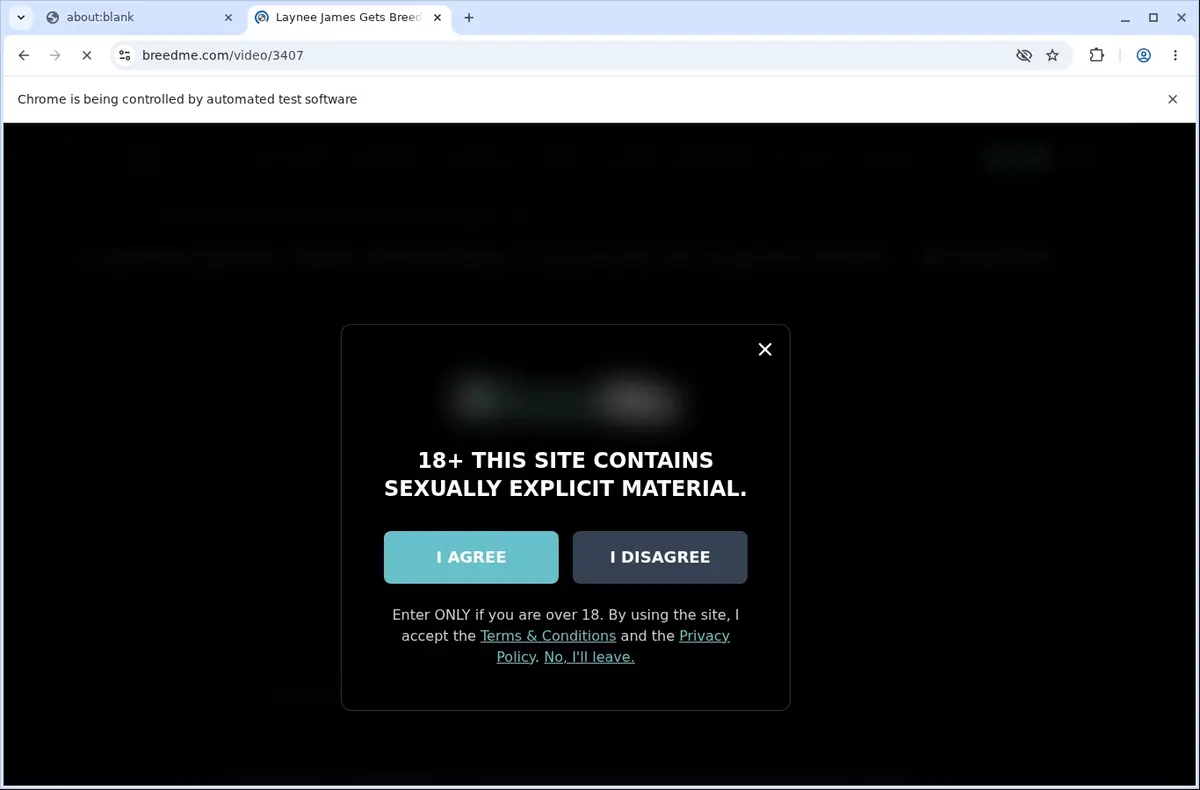 BreedMe Video Downloader page open in the browser