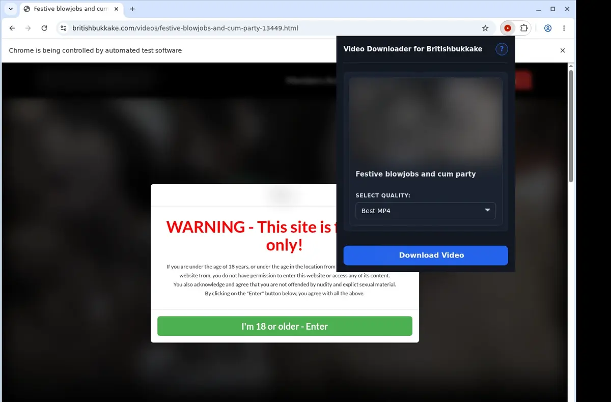 BritishBukkake Video Downloader showing detected media ready to download