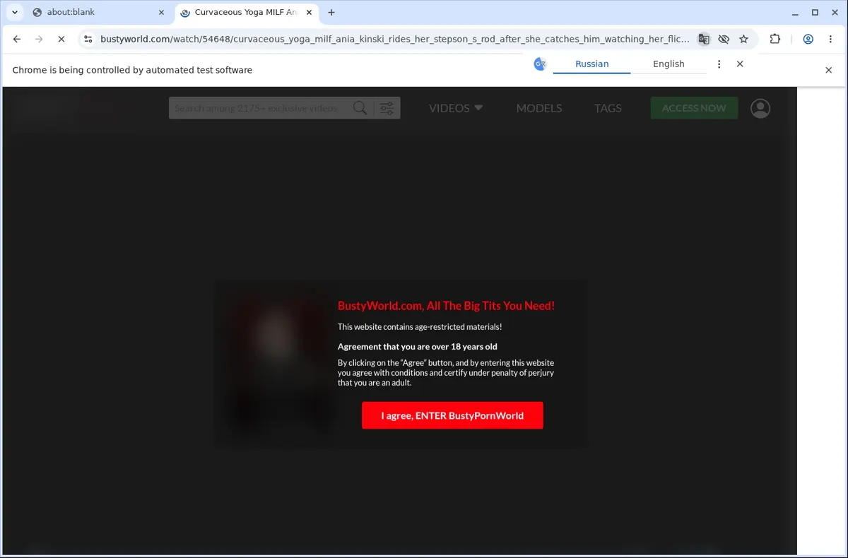 BustyWorld Video Downloader page open in the browser