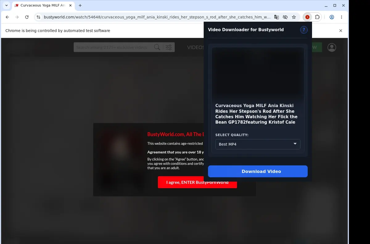 BustyWorld Video Downloader showing detected media ready to download