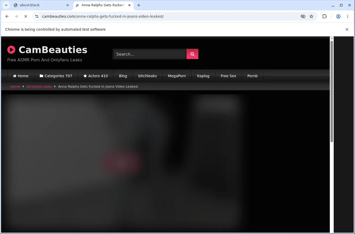 CamBeauties Video Downloader page open in the browser