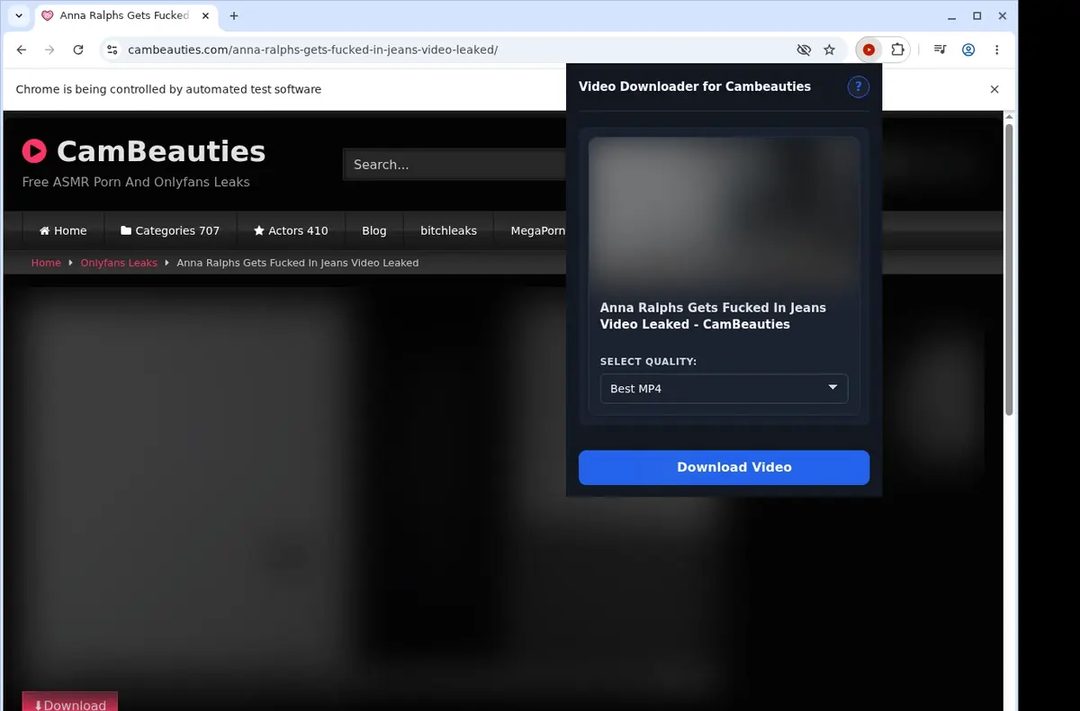 CamBeauties Video Downloader showing detected media ready to download