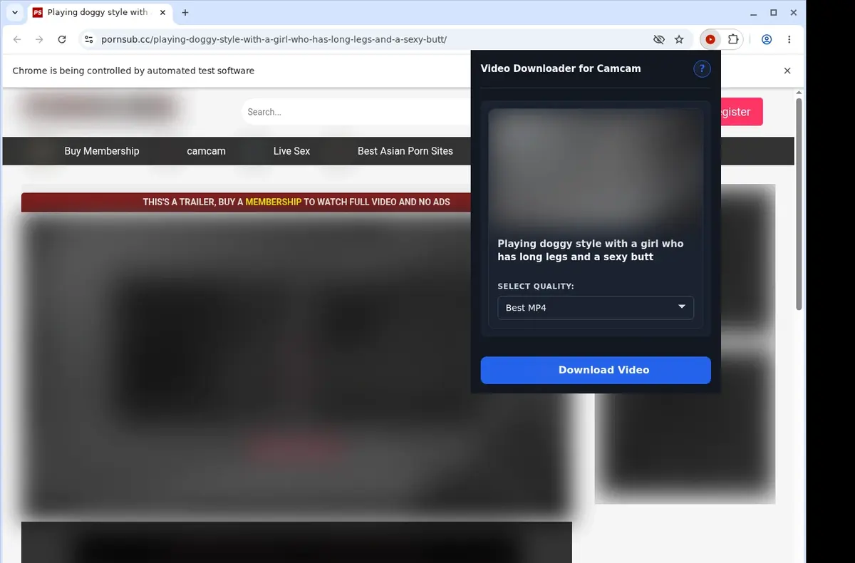CamCam Video Downloader showing detected media ready to download