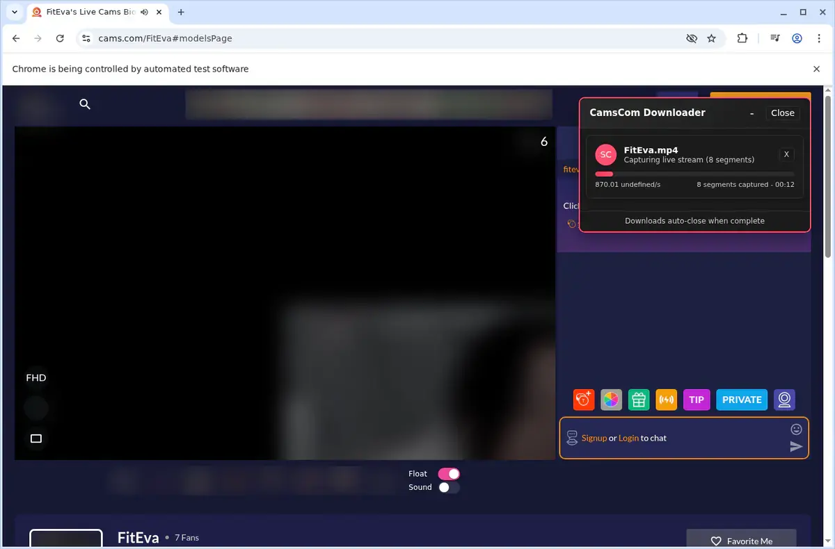Cams.com Video Downloader download progress panel