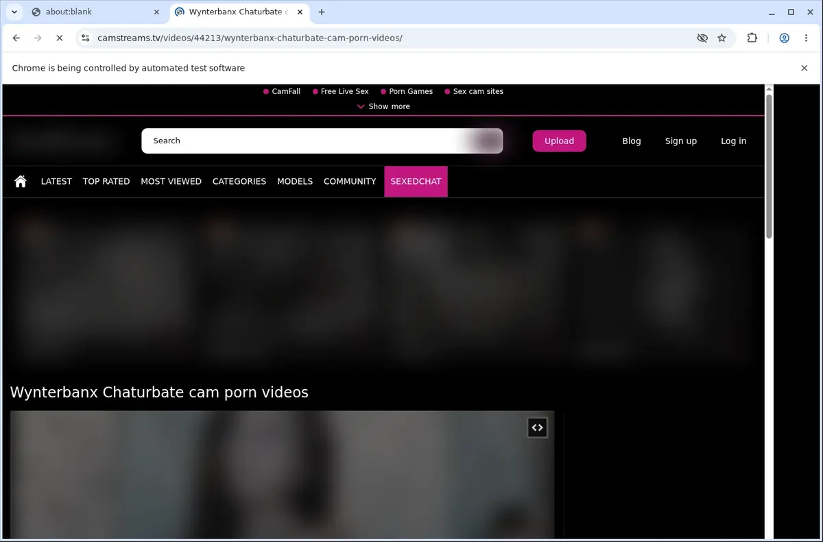 CamStreams Video Downloader page open in the browser