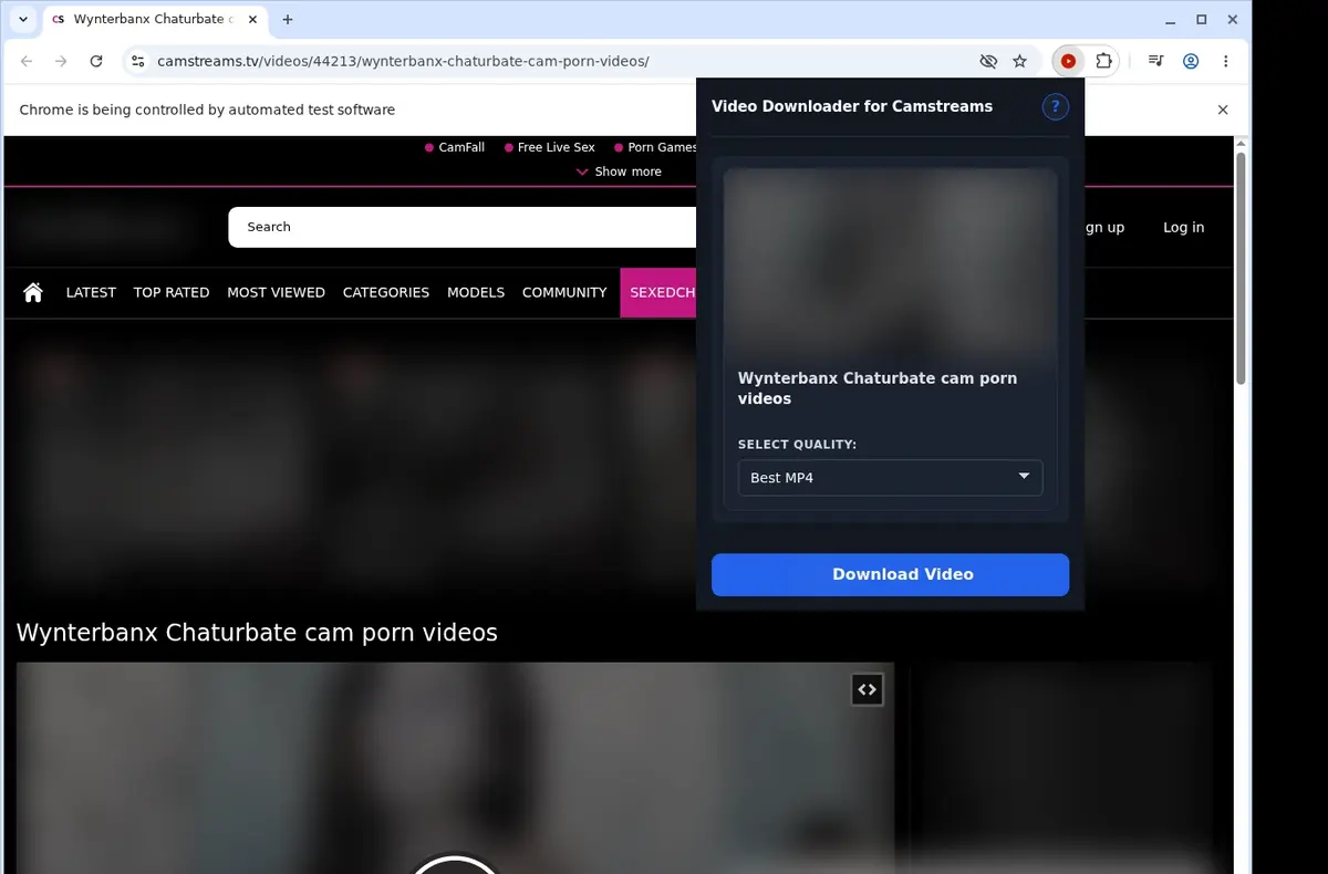 CamStreams Video Downloader showing detected media ready to download