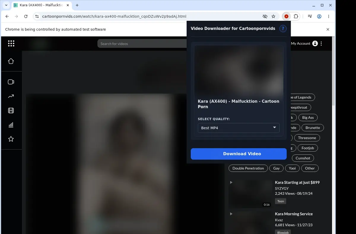CartoonPornVids Video Downloader showing detected media ready to download