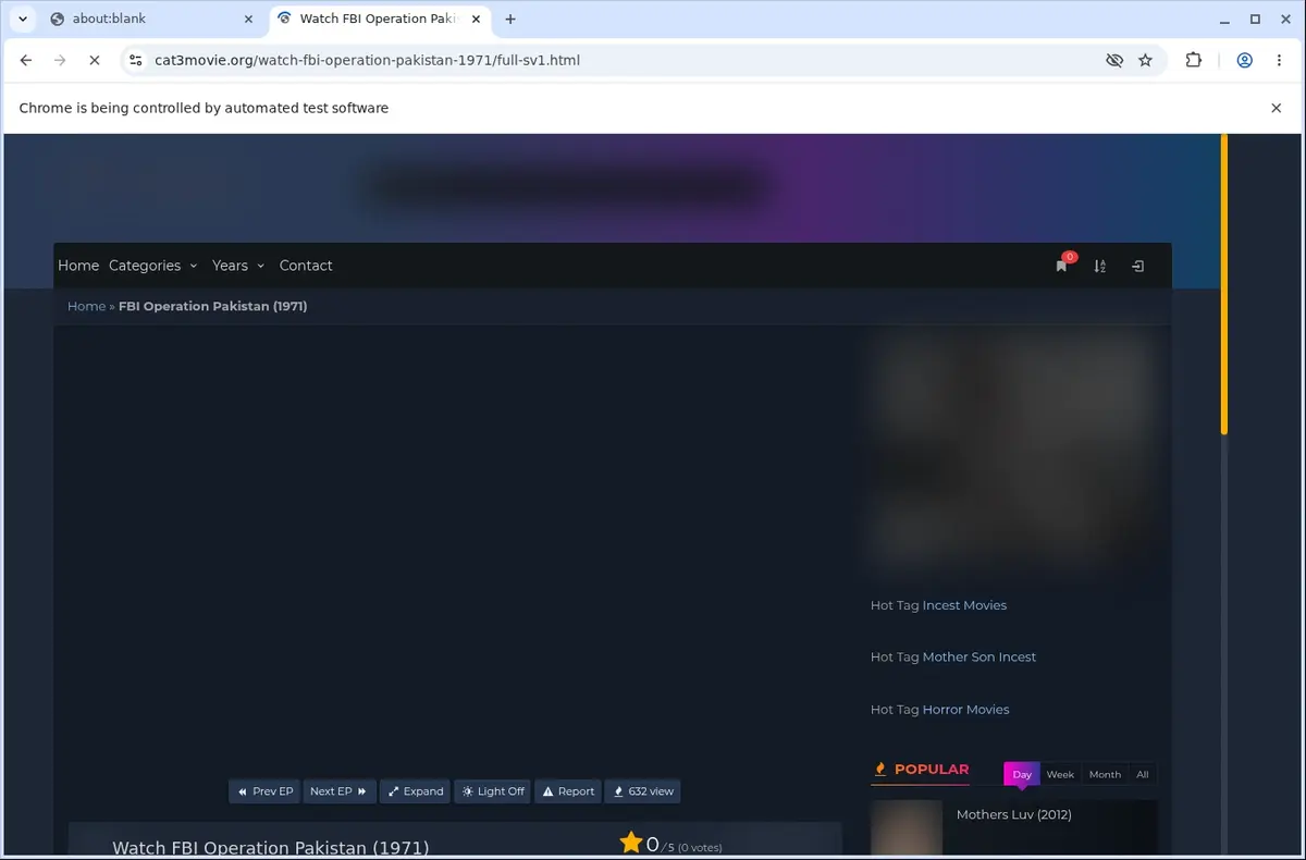Cat3movie Video Downloader page open in the browser