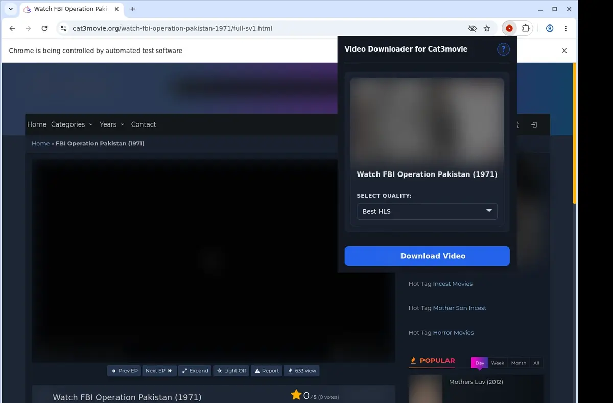 Cat3movie Video Downloader showing detected media ready to download