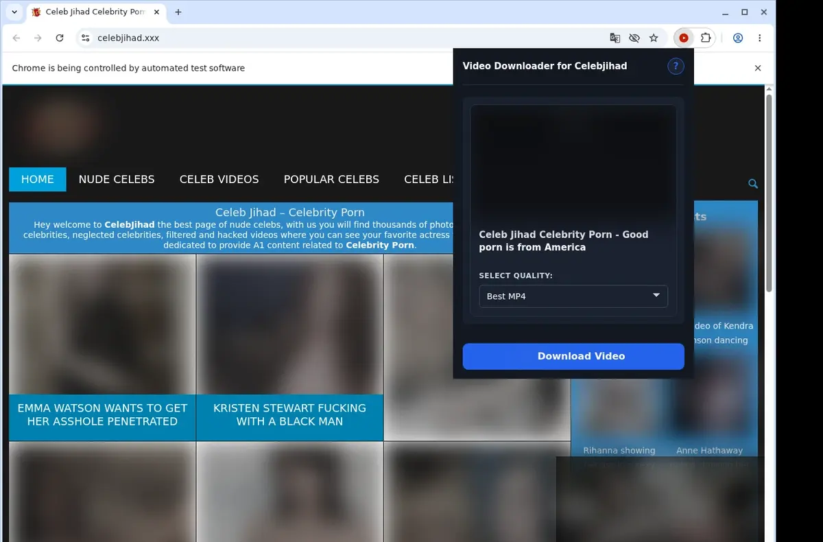 Celebjihad Downloader showing detected media ready to download