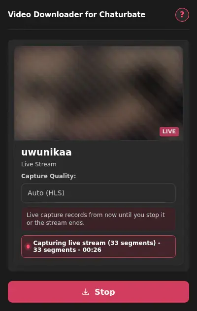 Chaturbate Video Downloader showing detected media ready to download