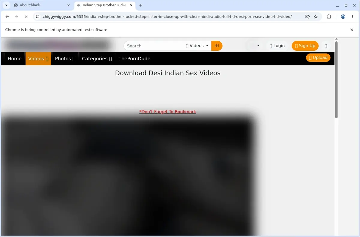 Chiggywiggy Downloader page open in the browser