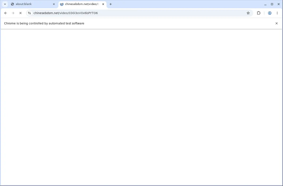 ChineseBDSM Video Downloader page open in the browser