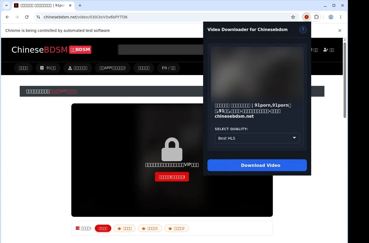 ChineseBDSM Video Downloader showing detected media ready to download