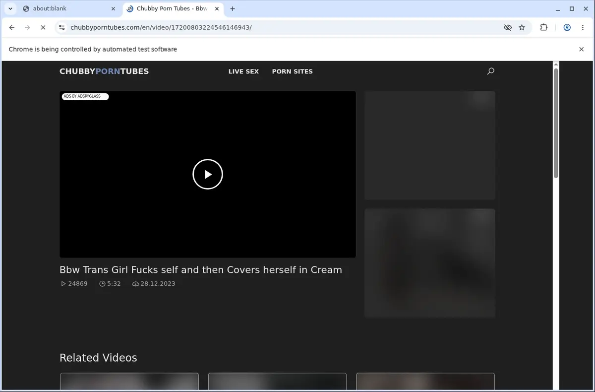 ChubbyPornTubes Downloader page open in the browser