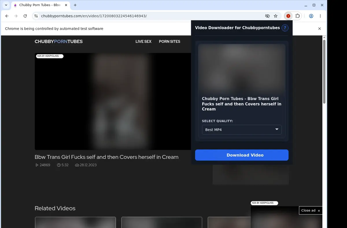 ChubbyPornTubes Downloader showing detected media ready to download