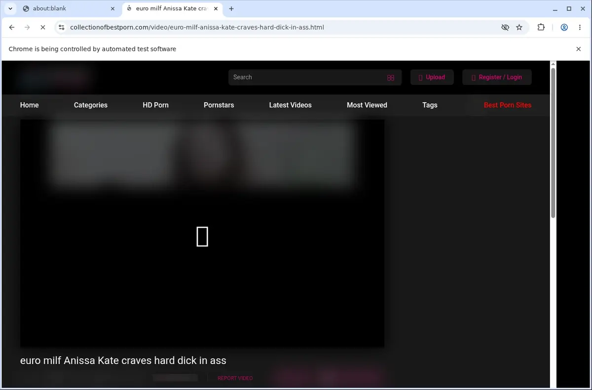 CollectionOfBestPorn Downloader page open in the browser