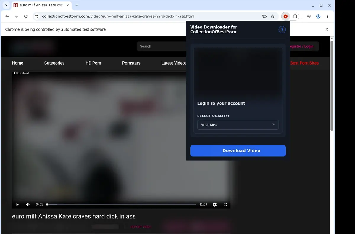 CollectionOfBestPorn Downloader showing detected media ready to download