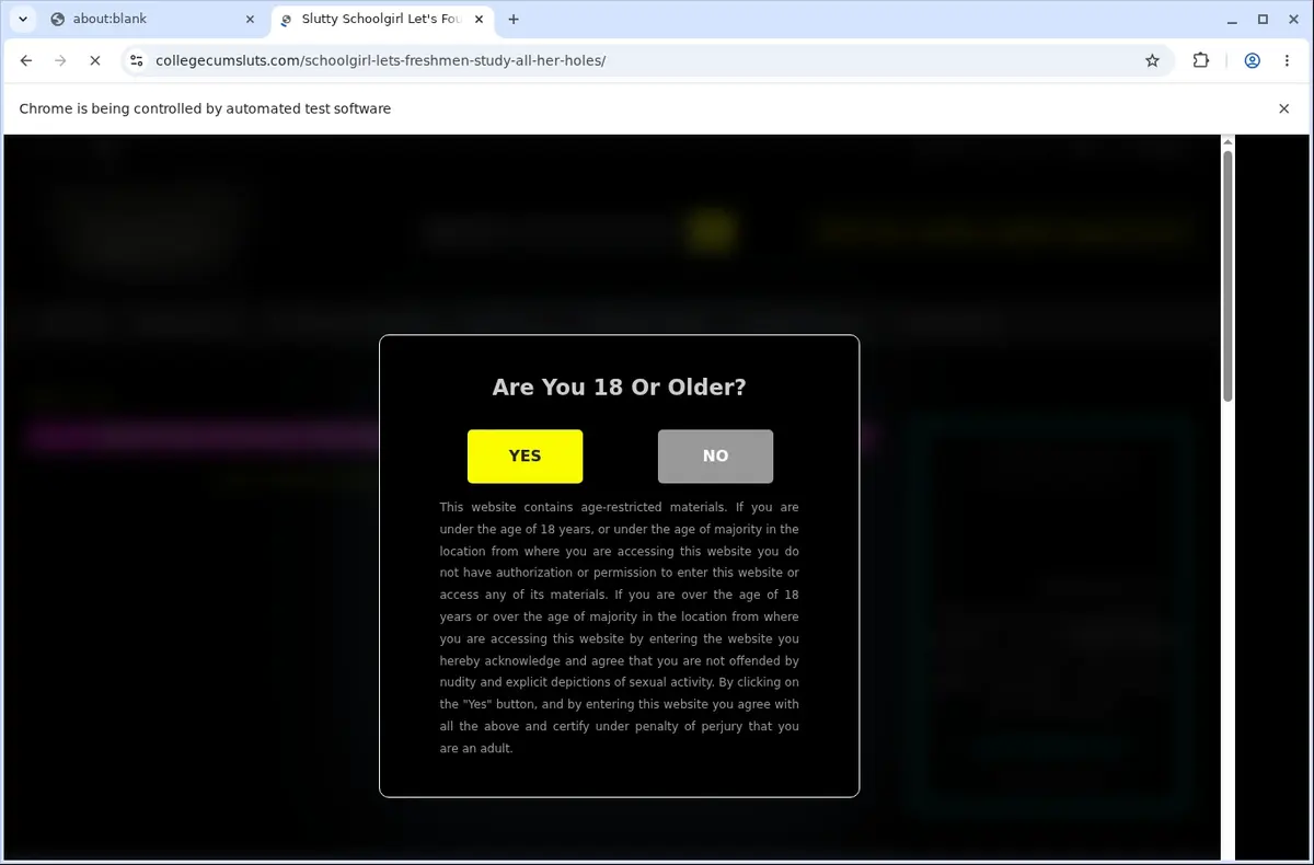 CollegeCumSluts Video Downloader page open in the browser