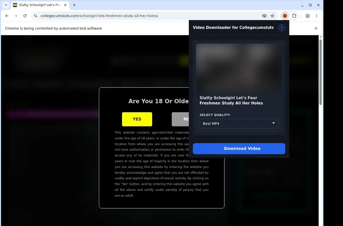 CollegeCumSluts Video Downloader showing detected media ready to download