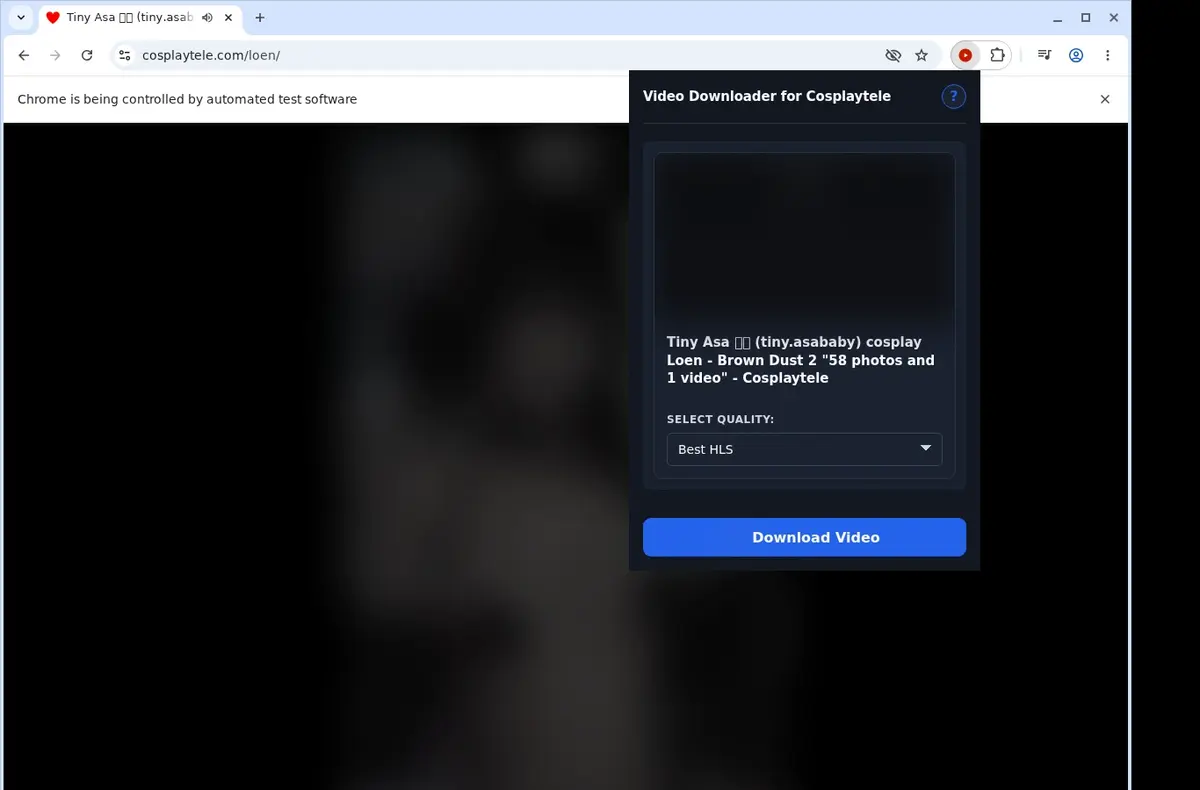 CosplayTele Downloader showing detected media ready to download