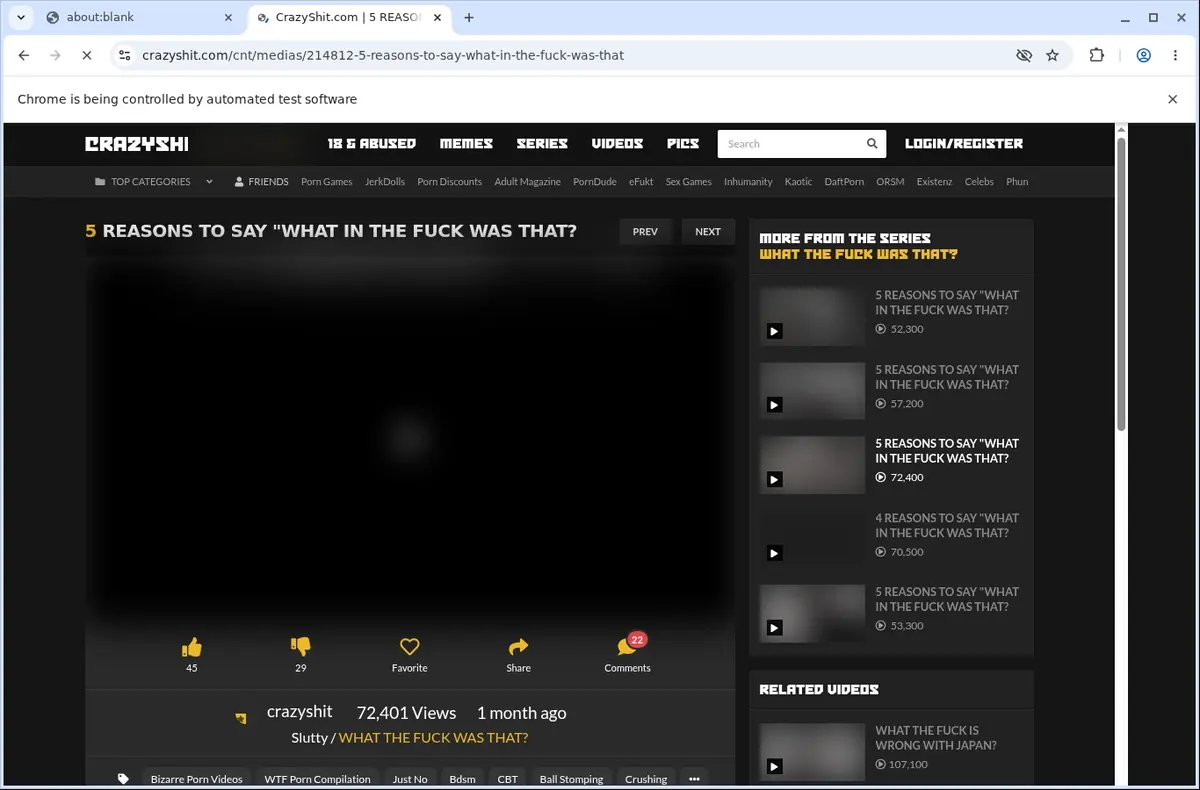 CrazyShit Video Downloader page open in the browser