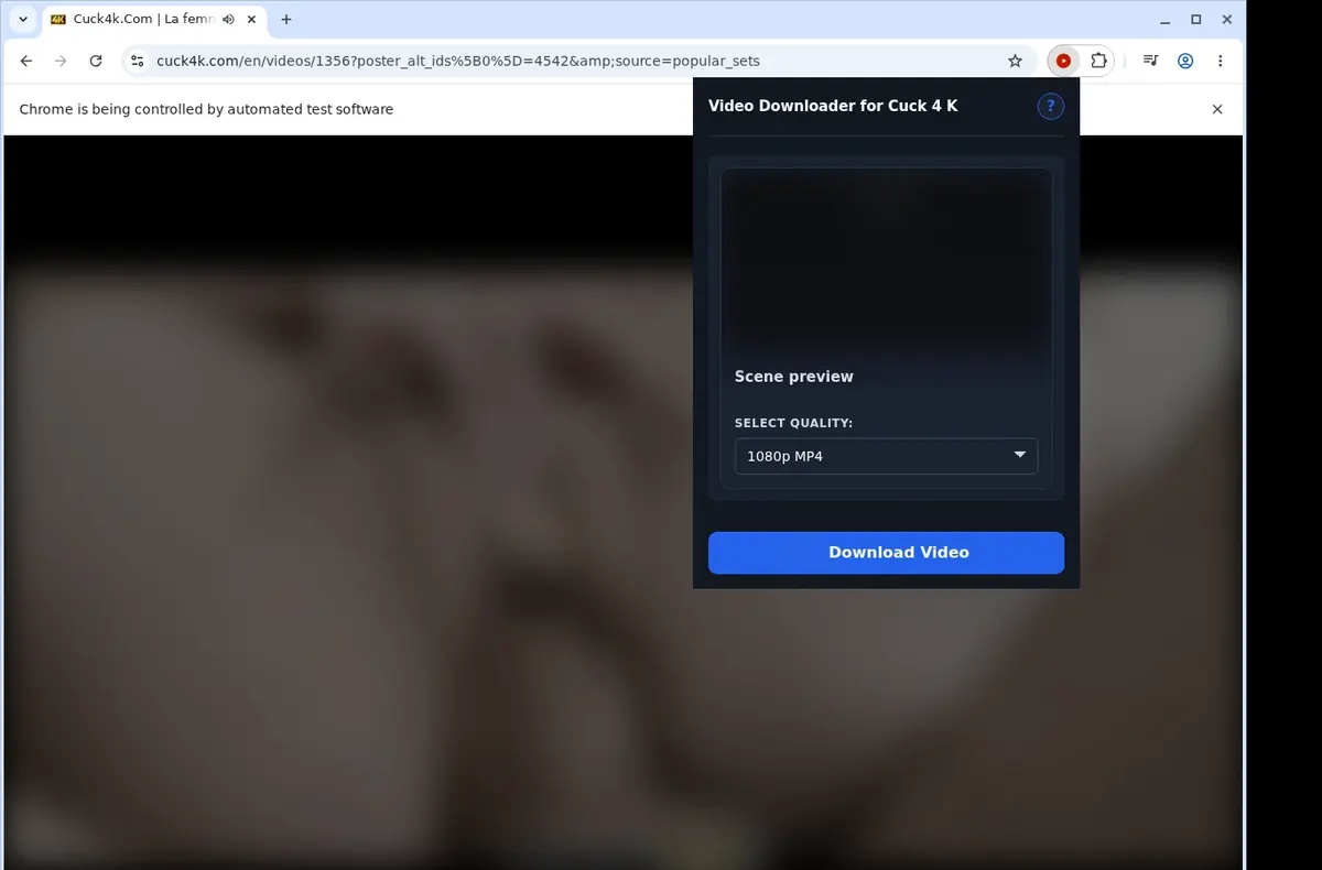 Cuck4K Downloader showing detected media ready to download