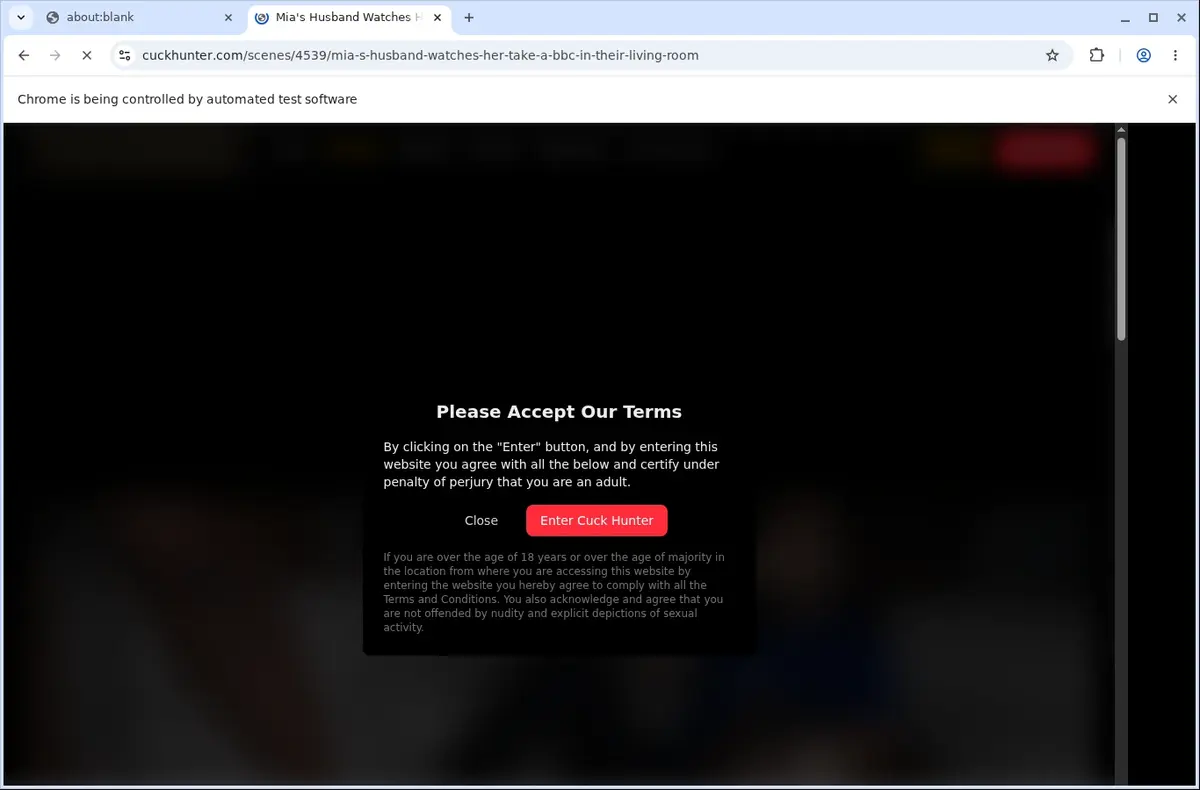 CuckHunter Video Downloader page open in the browser