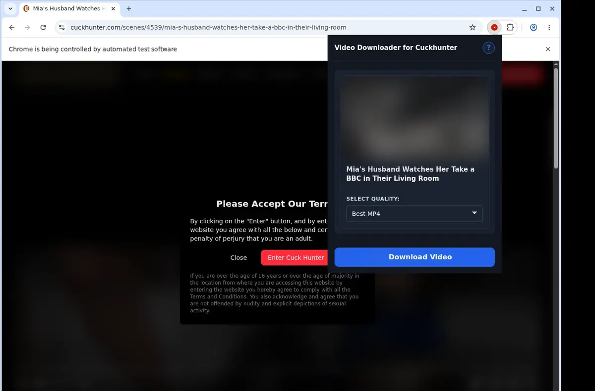 CuckHunter Video Downloader showing detected media ready to download
