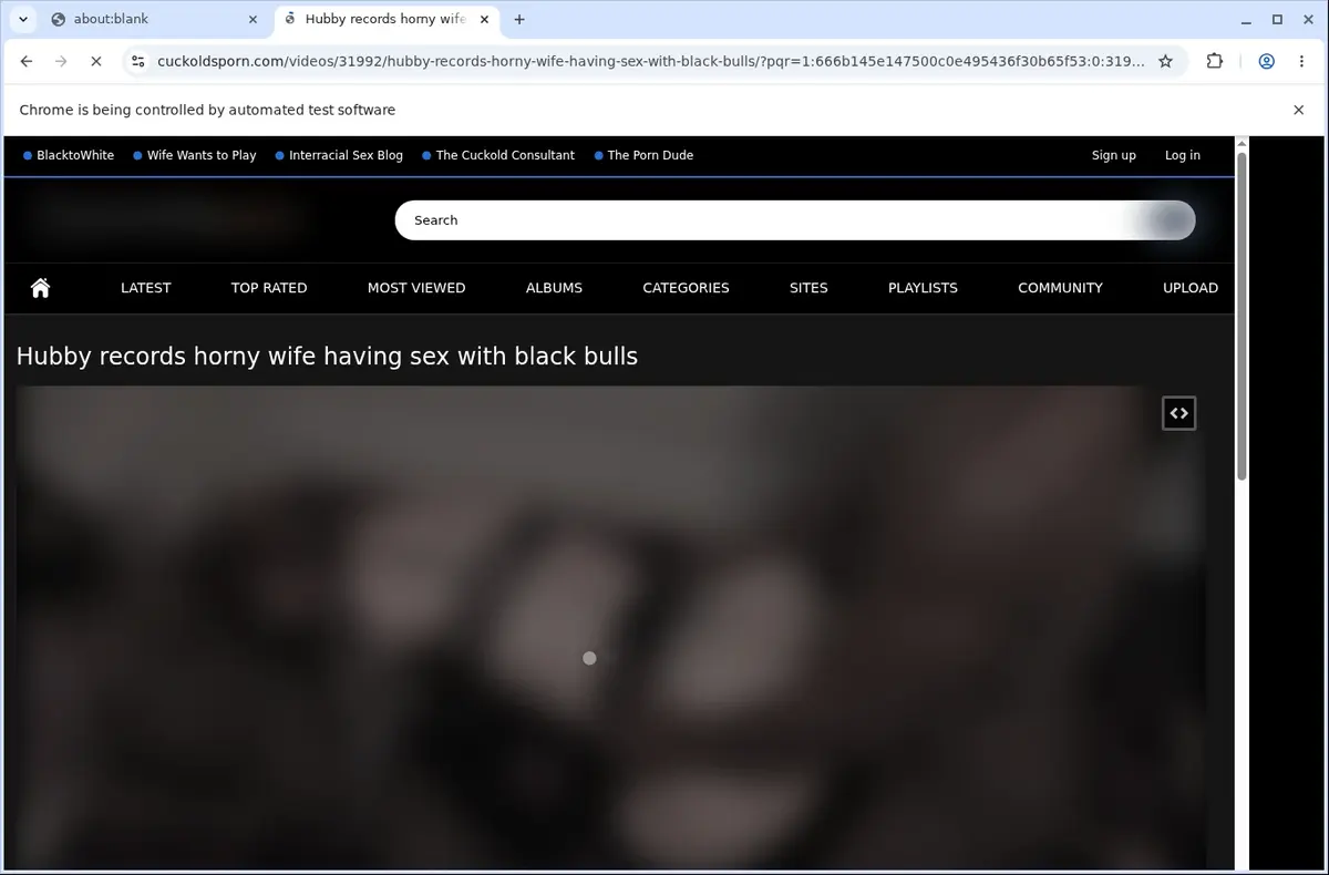 Cuckoldsporn Video Downloader page open in the browser