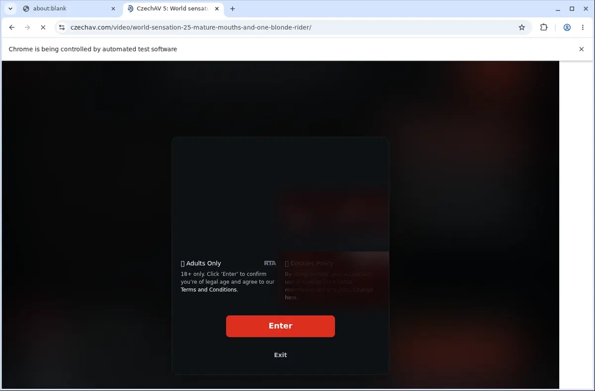 CzechAV Video Downloader page open in the browser