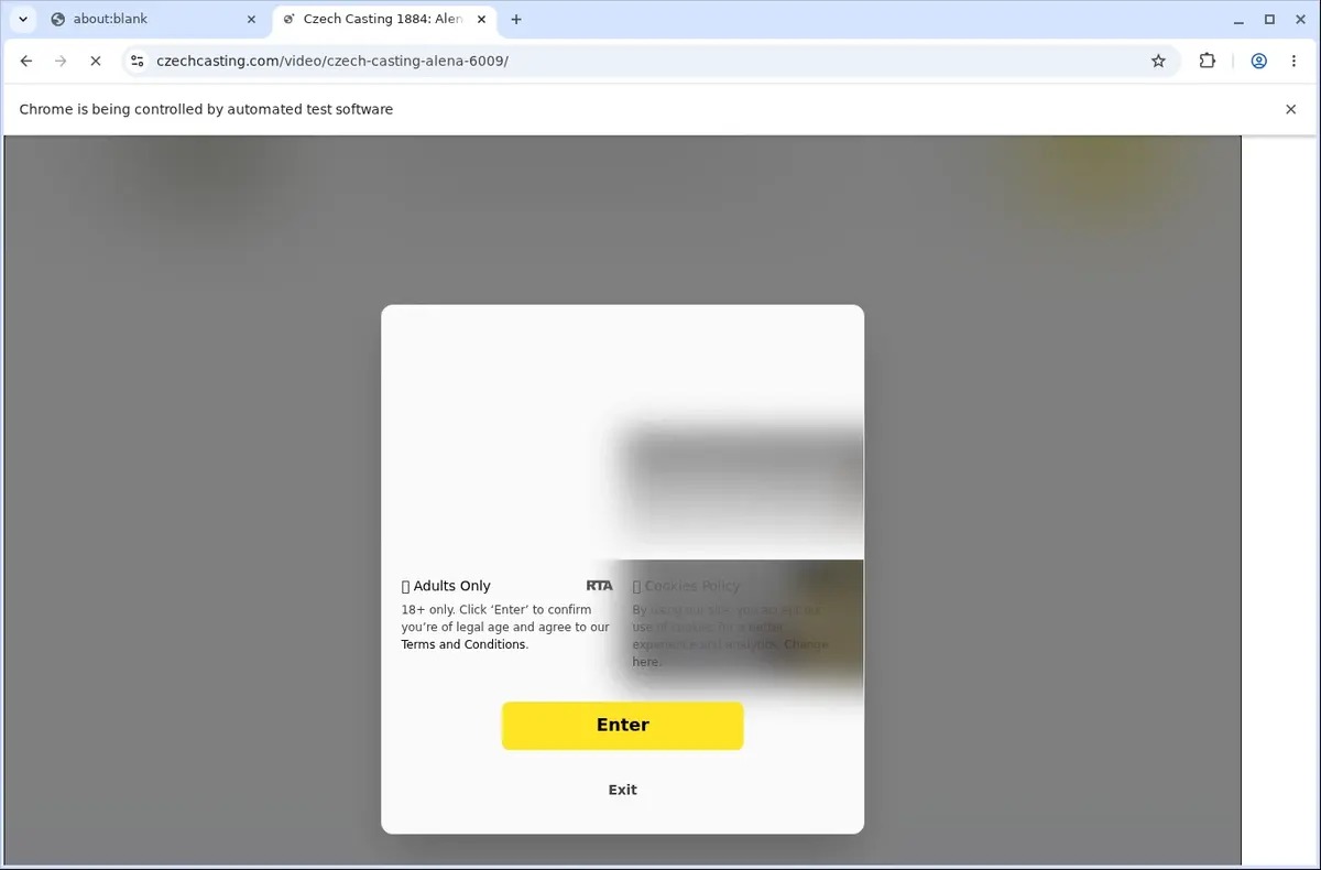 CzechCasting Video Downloader page open in the browser