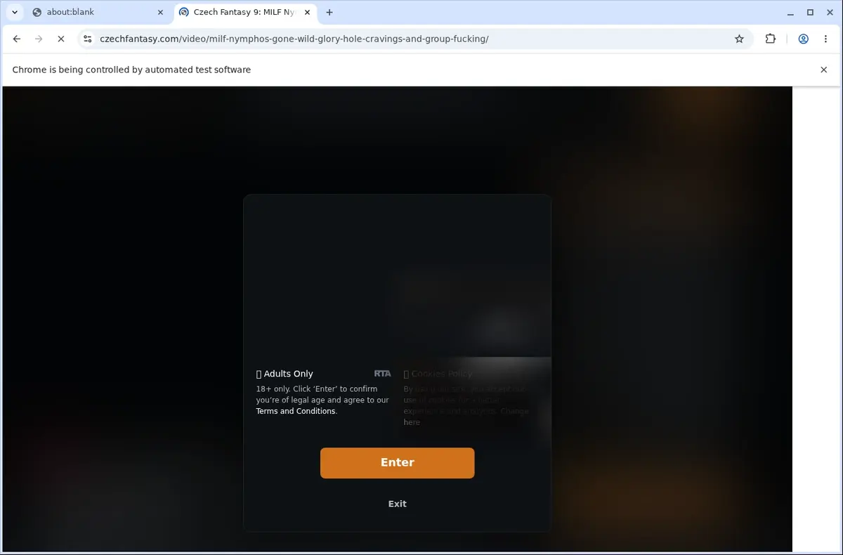 CzechFantasy Video Downloader page open in the browser
