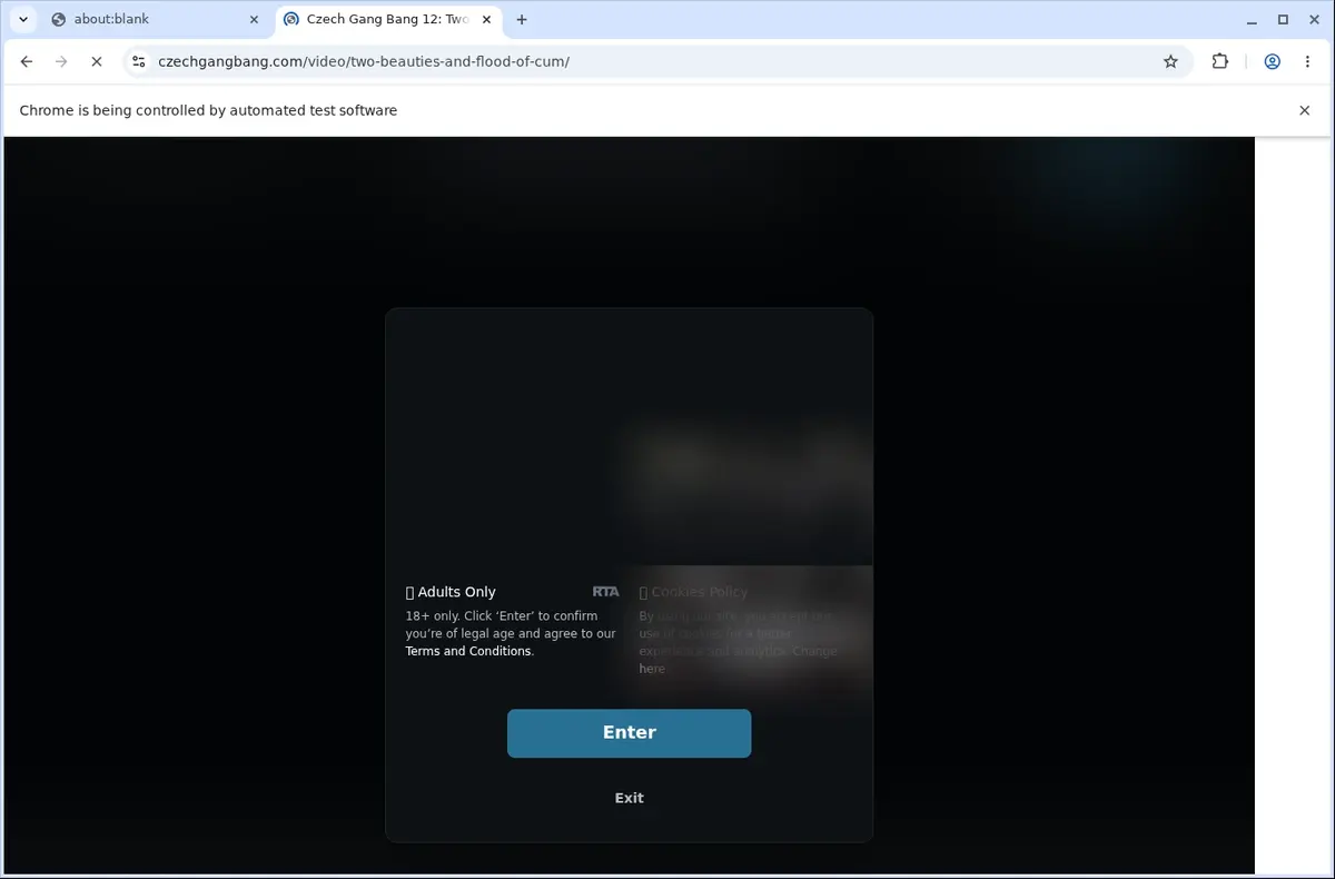 CzechGangbang Video Downloader page open in the browser