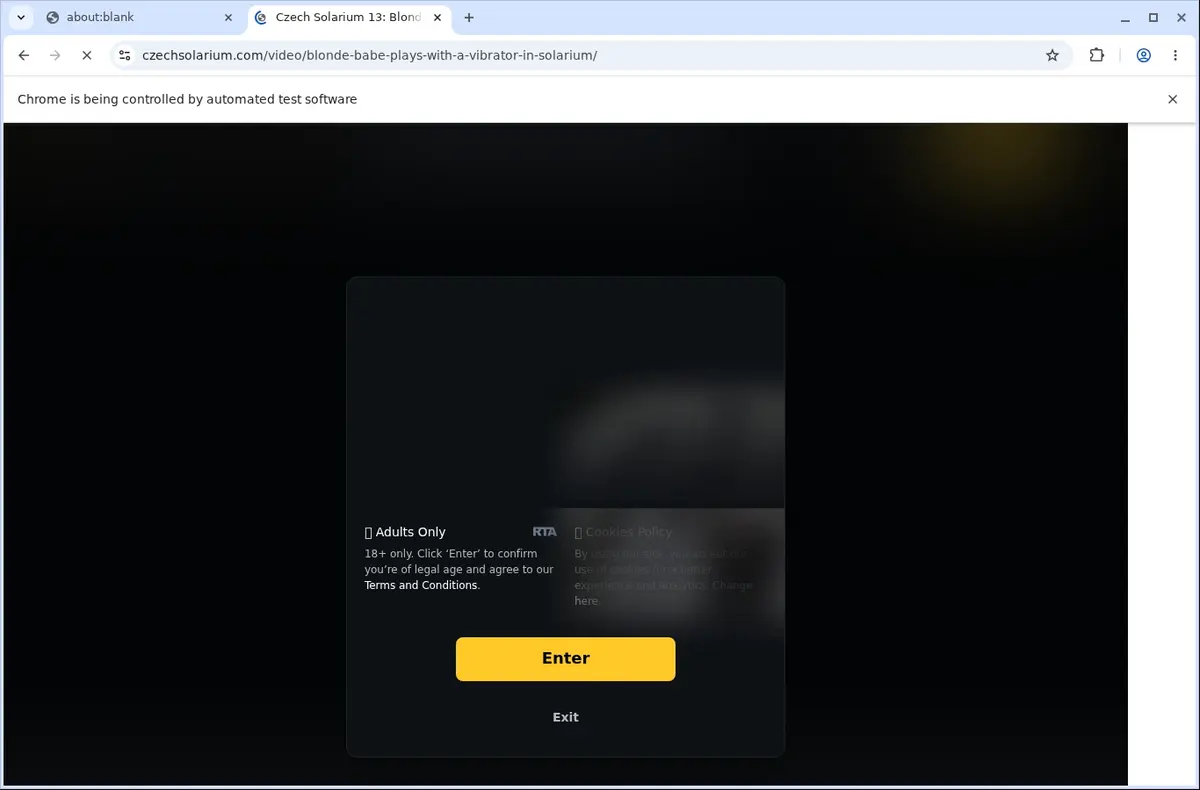 CzechSolarium Video Downloader page open in the browser