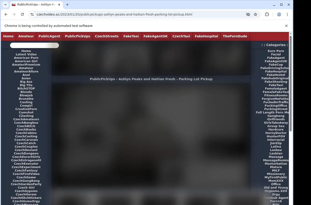 CzechVideo Downloader page open in the browser