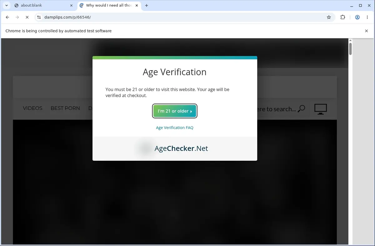 DampLips Video Downloader page open in the browser