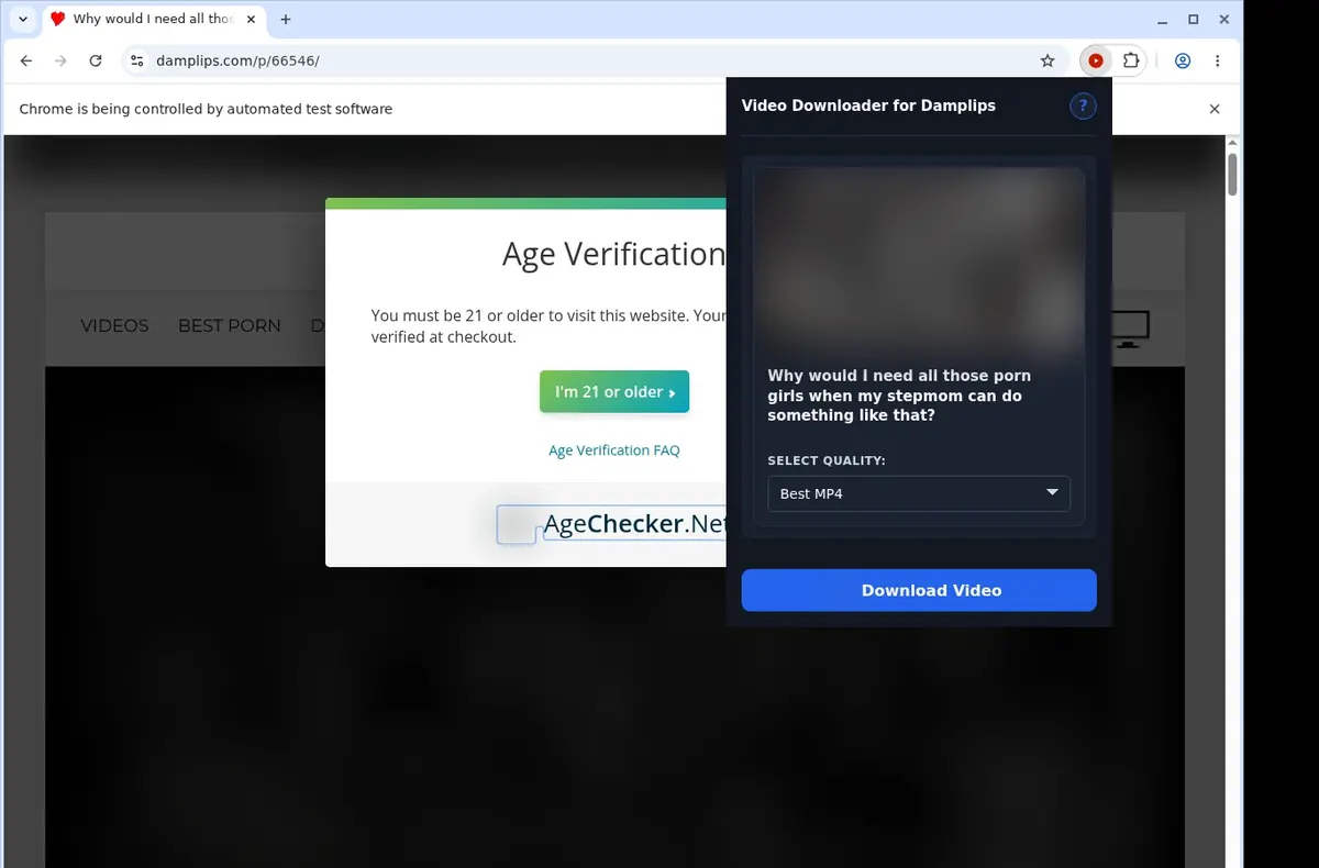 DampLips Video Downloader showing detected media ready to download